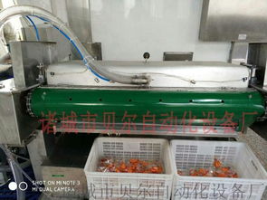 廠家直銷滾動式食品真空包裝機,休閑食品包裝機械