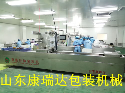 鴨脖全自動(dòng)連續(xù)真空包裝機(jī)哪家好？山東康瑞達(dá)，誠信商家誠包裝機(jī)械的優(yōu)秀選擇